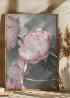 1643 Plakat (21x29.7 cm (A4))