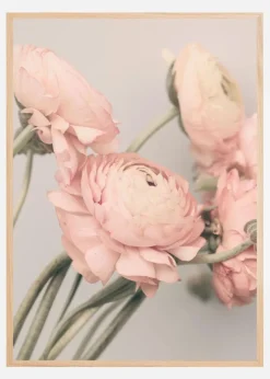 1644 Plakat (21x29.7 cm (A4))