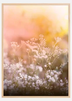 A Beautiful Summer Evening Plakat (21x29.7 cm (A4))