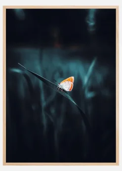 A Lonely Butterfly Plakat (21x29.7 cm (A4))