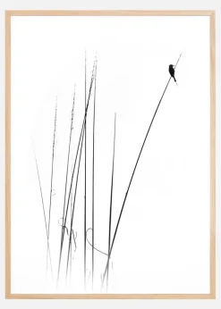 A sabbatical Plakat (21x29.7 cm (A4))