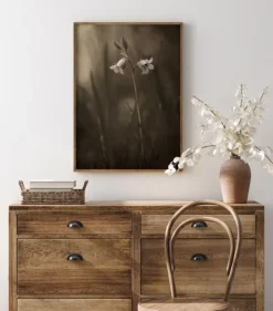 A Small Flower On The Ground Plakat (21x29.7 cm (A4))