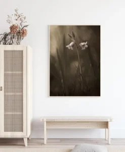 A Small Flower On The Ground Plakat (21x29.7 cm (A4))