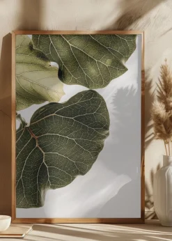 Abutifolia No1 Plakat (21x29.7 cm (A4))