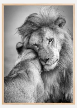 African Love! Plakat (21x29.7 cm (A4))