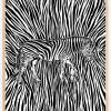 African Zebra striped camouflage Plakat (21x29.7 cm (A4))