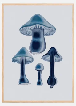 Agaricus Bulbosus - Blue Plakat (21x29.7 cm (A4))