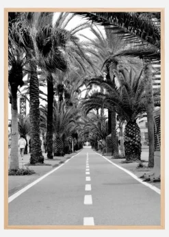 Allè Plakat (21x29.7 cm (A4))