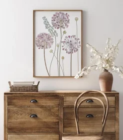 Allium Plakat (21x29.7 cm (A4))