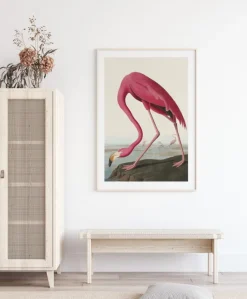 American Flamingo Plakat (21x29.7 cm (A4))