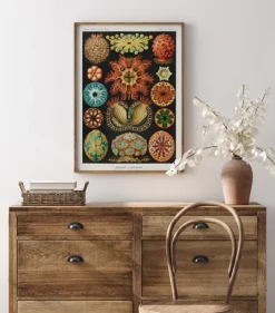 Animalium Plakat (21x29.7 cm (A4))