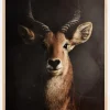 Antelope Plakat (21x29.7 cm (A4))
