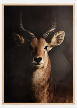 Antelope Plakat (21x29.7 cm (A4))