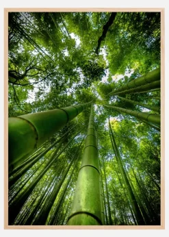 ARASHIYAMA Plakat (21x29.7 cm (A4))