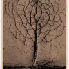 Asphalt Tree Plakat (21x29.7 cm (A4))
