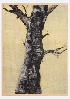 Aurum Naturae I Plakat (21x29.7 cm (A4))