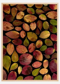 Autum Leafs Plakat (21x29.7 cm (A4))
