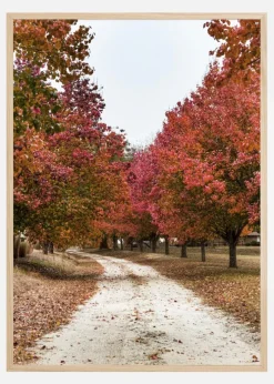 Autum Road Plakat (21x29.7 cm (A4))