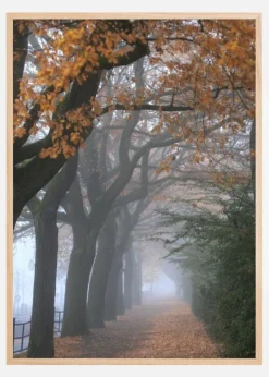 Autum Stroll Plakat (21x29.7 cm (A4))