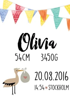 Baby Festoon (21x29,7 cm (A4))