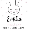 Baby Rabbit - Pink (21x29,7 cm (A4))