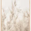 Beige Dried Straws ll Plakat (21x29.7 cm (A4))
