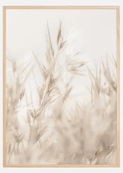 Beige Dried Straws ll Plakat (21x29.7 cm (A4))
