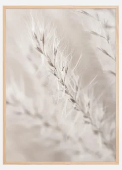 Beige Dried Straws lll Plakat (21x29.7 cm (A4))