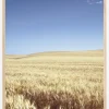 Beige Fields Plakat (21x29.7 cm (A4))