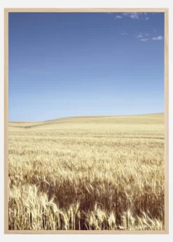 Beige Fields Plakat (21x29.7 cm (A4))