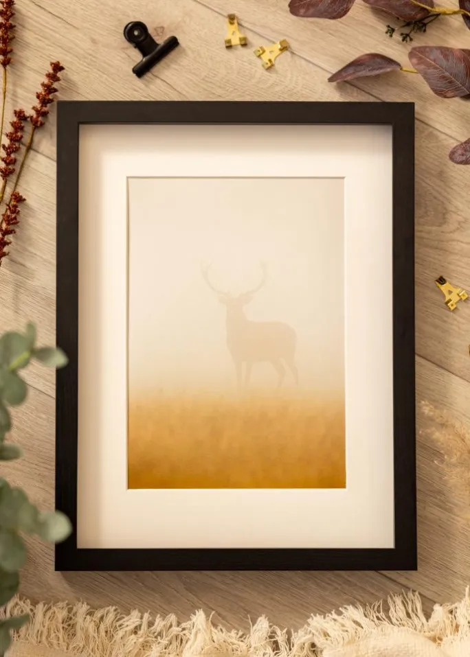 BGA Kasseramme Sort 60x80 cm - Passepartout Hvid 19x28 inches