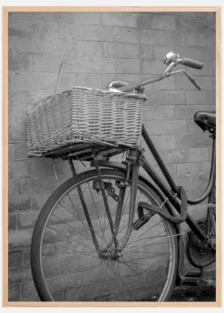 Bicycle Basket Plakat (21x29.7 cm (A4))