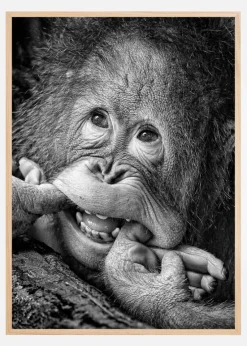 Big Smile.....please Plakat (21x29.7 cm (A4))