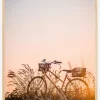 Bike Ride In The Sunset Plakat (21x29.7 cm (A4))