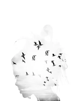 Bird Head B&W Plakat (50x70 cm)