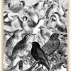 Birds Plakat (21x29.7 cm (A4))