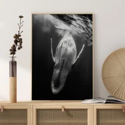 Black A Whale Plakat (21x29.7 cm (A4))