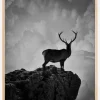 Black and White Deer Plakat (21x29.7 cm (A4))