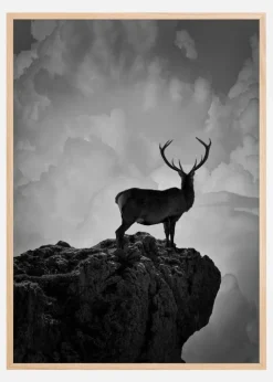 Black and White Deer Plakat (21x29.7 cm (A4))
