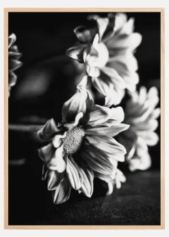 Black and White Flowers Plakat (21x29.7 cm (A4))