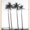 Black And White Palm Trees Plakat (21x29.7 cm (A4))