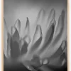 Black and White Shaddows Plakat (21x29.7 cm (A4))