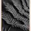 Black Fern Plakat (21x29.7 cm (A4))