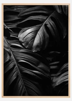 Black Leaves Plakat (21x29.7 cm (A4))