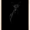 Black Moose Plakat (21x29.7 cm (A4))