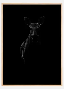 Black Moose Plakat (21x29.7 cm (A4))