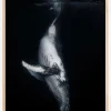 Black Whale Plakat (21x29.7 cm (A4))