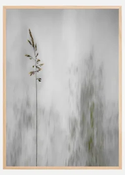 Blade of grass Plakat (21x29.7 cm (A4))