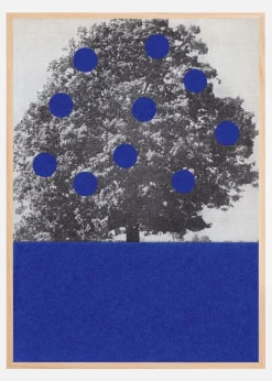 Blue Fruits Plakat (21x29.7 cm (A4))