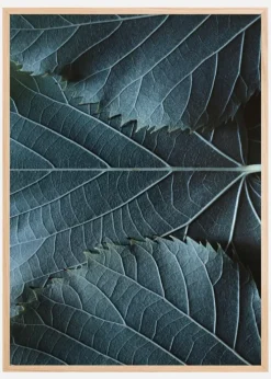 Blue Leaves Plakat (21x29.7 cm (A4))